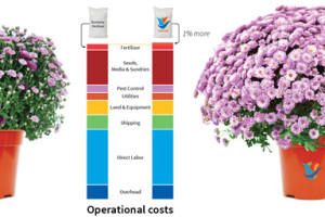 Growers of high value crops who use Plant-Prod fertilizers, which cost slightly more than economy fertilizers, produce healthier plants faster, with less crop shrink increasing overall profitability.