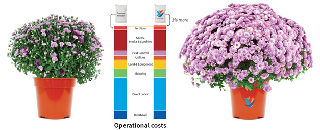 Growers of high value crops who use Plant-Prod fertilizers, which cost slightly more than economy fertilizers, produce healthier plants faster, with less crop shrink increasing overall profitability.