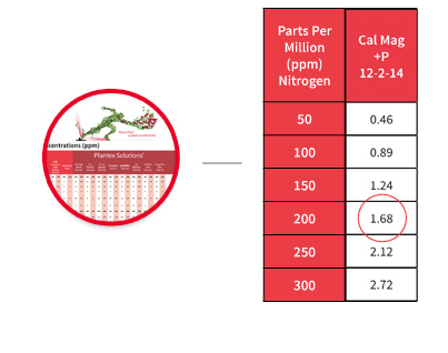 Plantex Chart Explanation - Step 5