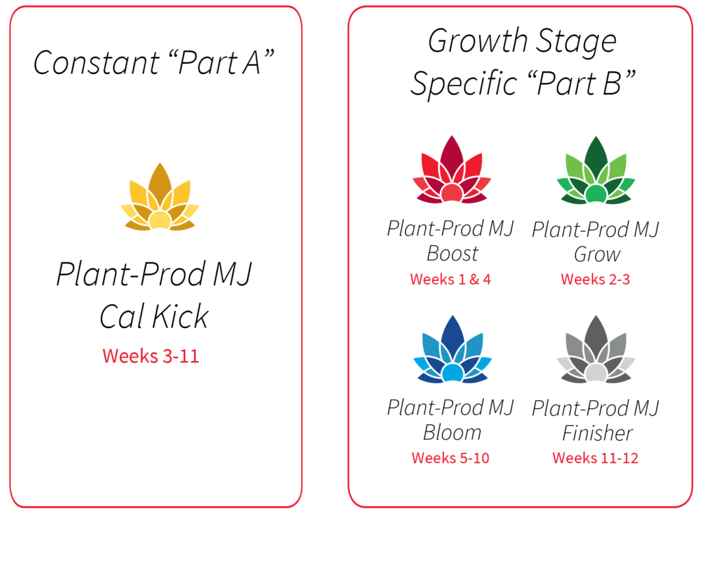 Graphic of how to use Plant-Prod MJ Cannabis Fertilizer two part A&B nutrient system