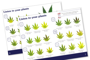 Cannabis Fertilizer Growers Guide from Plant-Prod