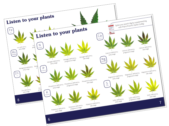 marijuana deficiency chart