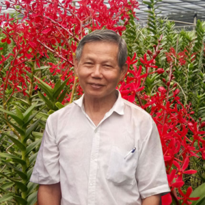 Orchid Grower and Breeder