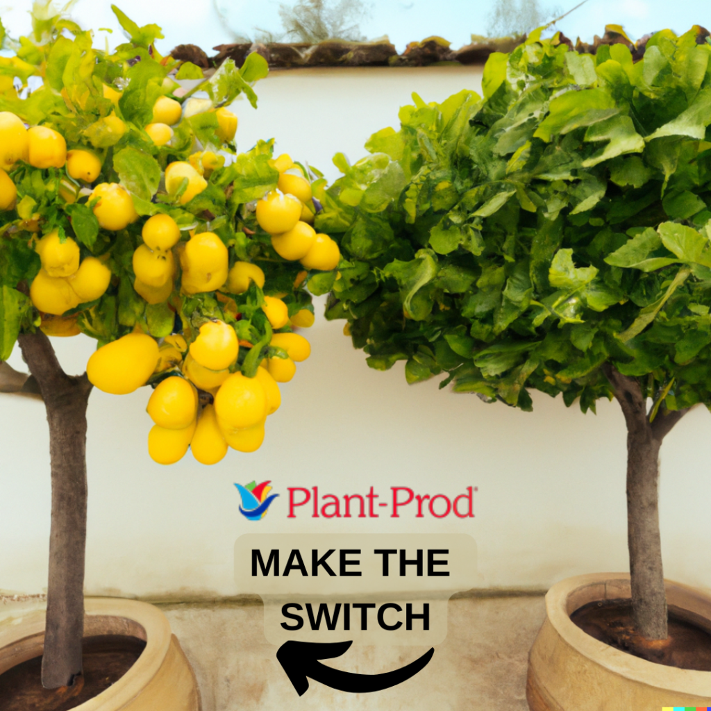 Comparison of 2 lemon trees one lush due to fertilizer choise, one not.